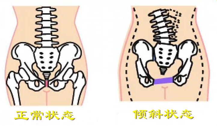 脊柱与自主神经的关系